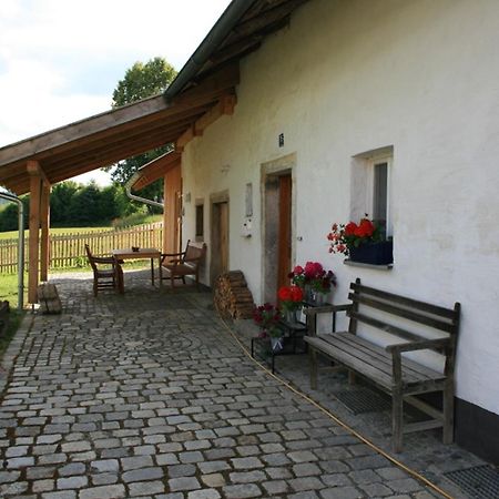 Ferienhaus Winter Blaibach Exteriör bild