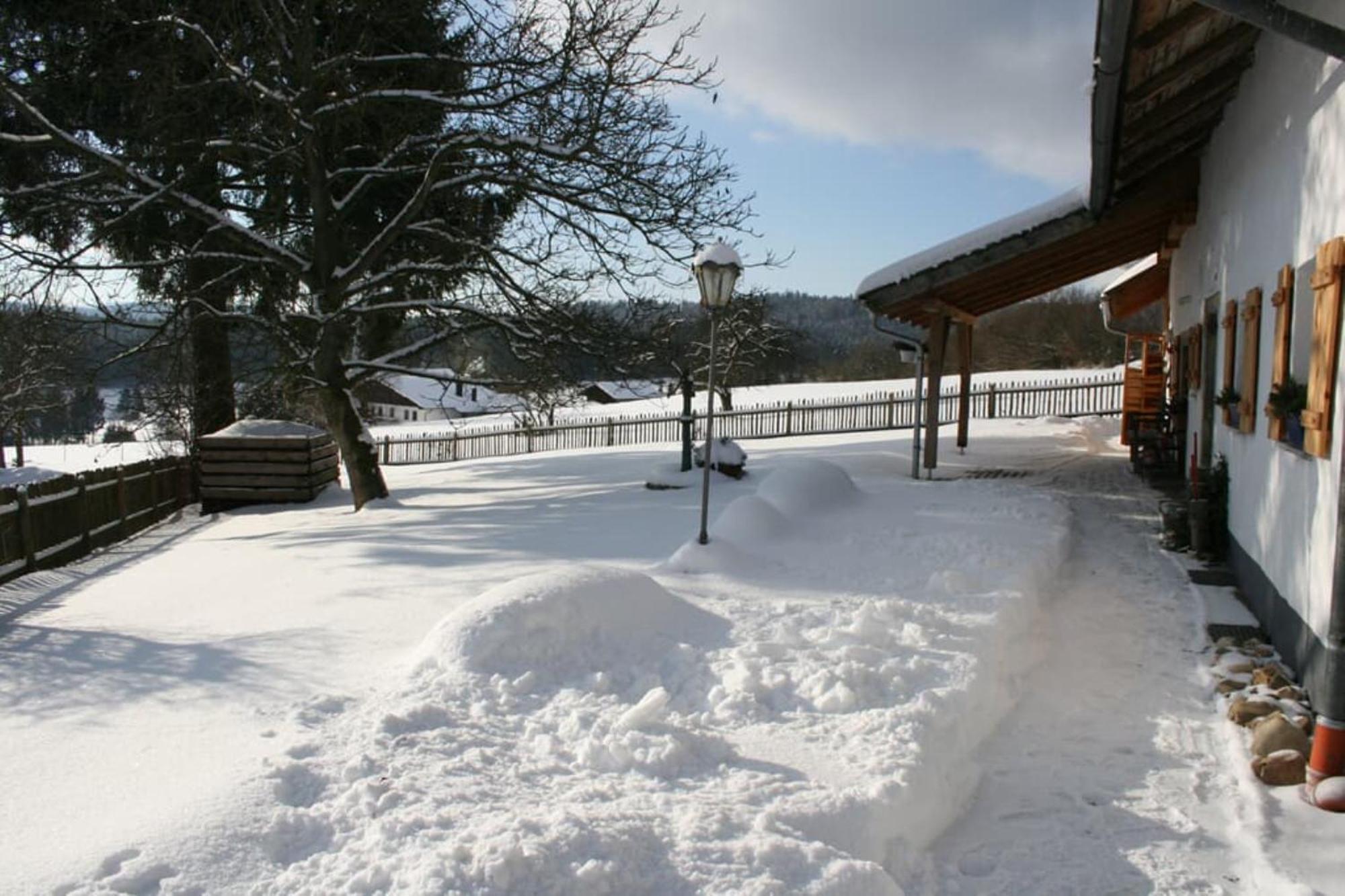 Ferienhaus Winter Blaibach Exteriör bild